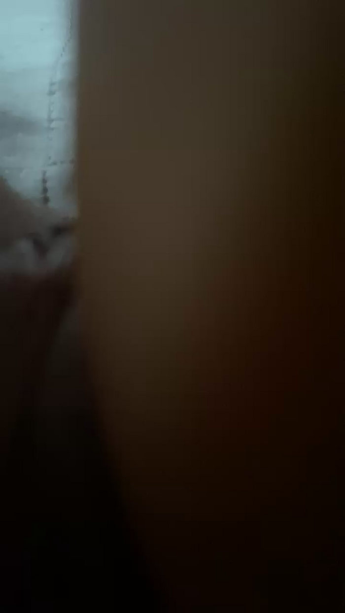 fire_lili