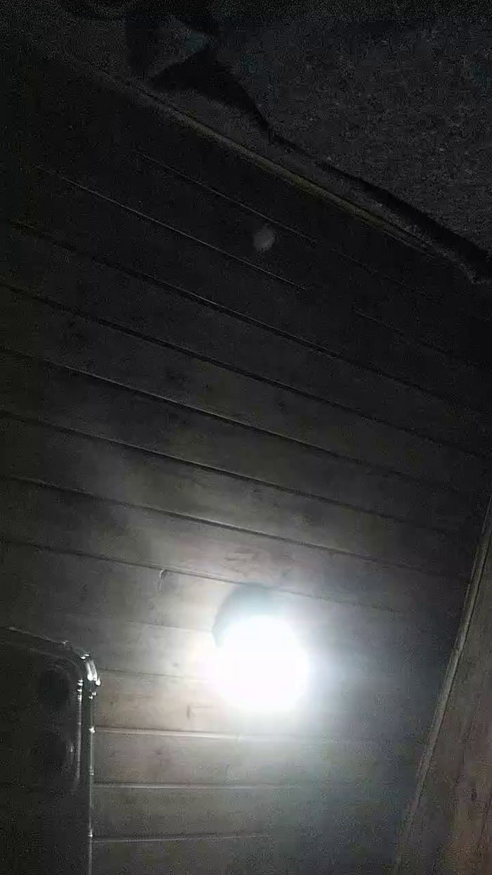 Dakota2019s