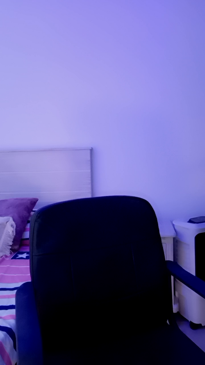 MonyCat_