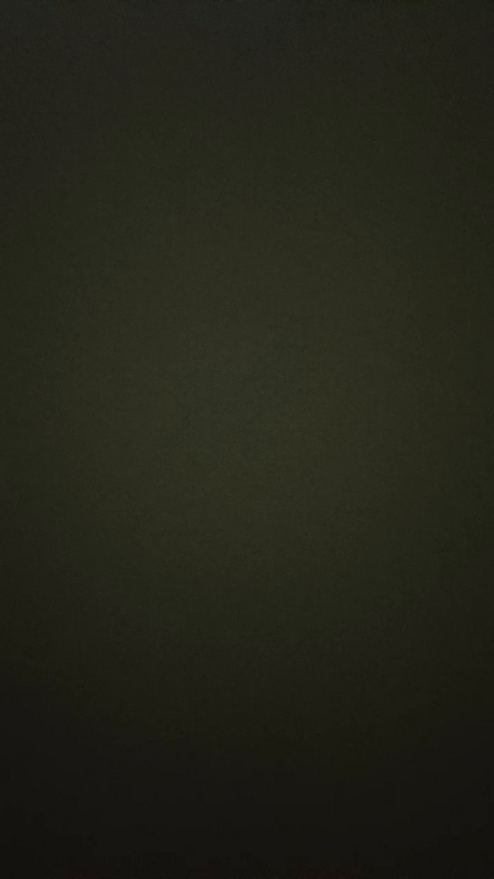 RAYSSA_VIZ0