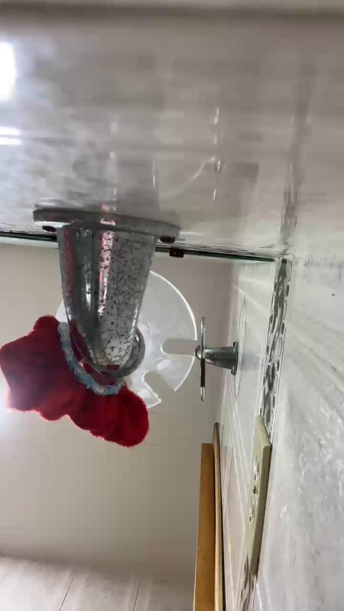 shari_kumar