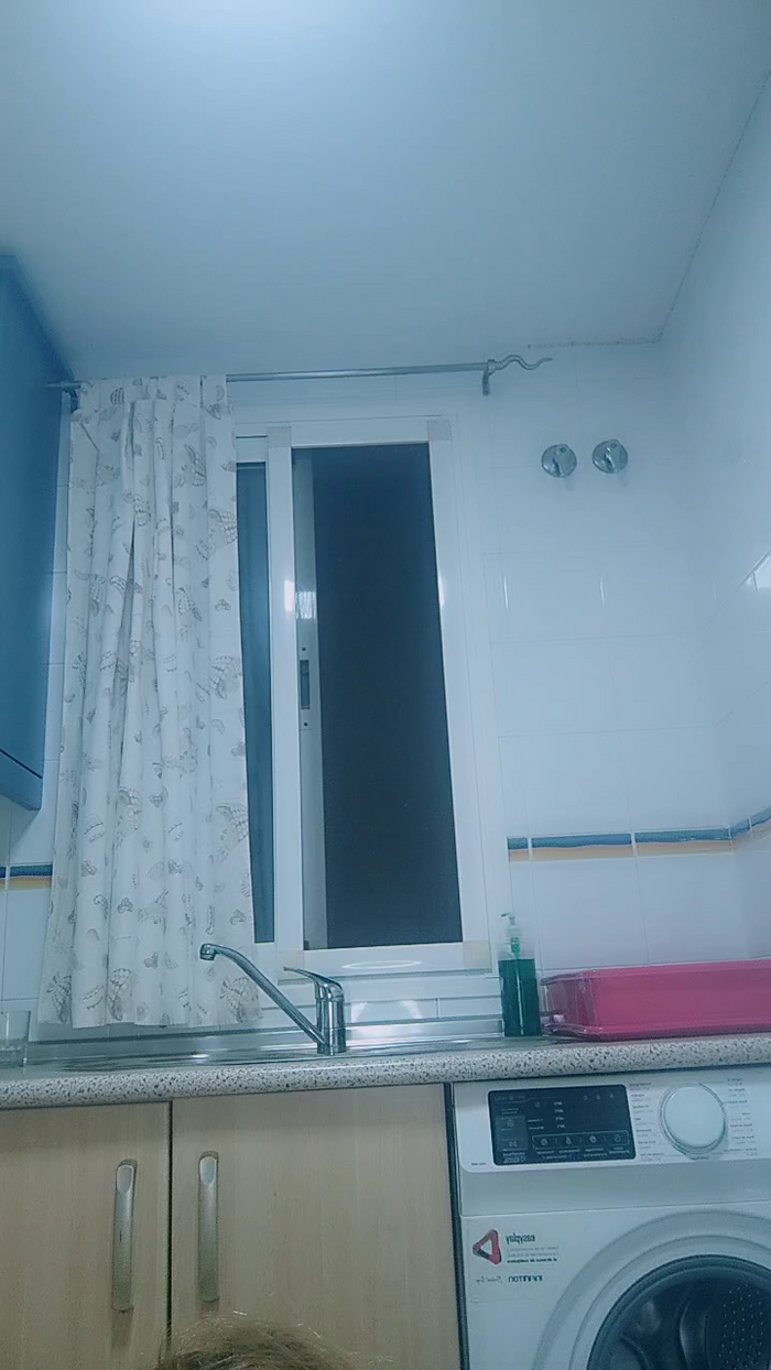 stefycamy