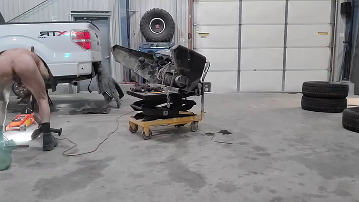 Mechdick1
