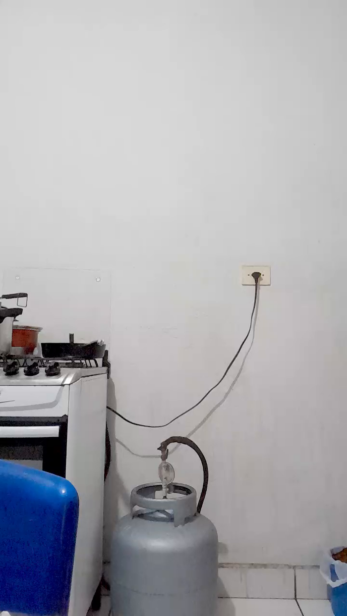 fernandinha27