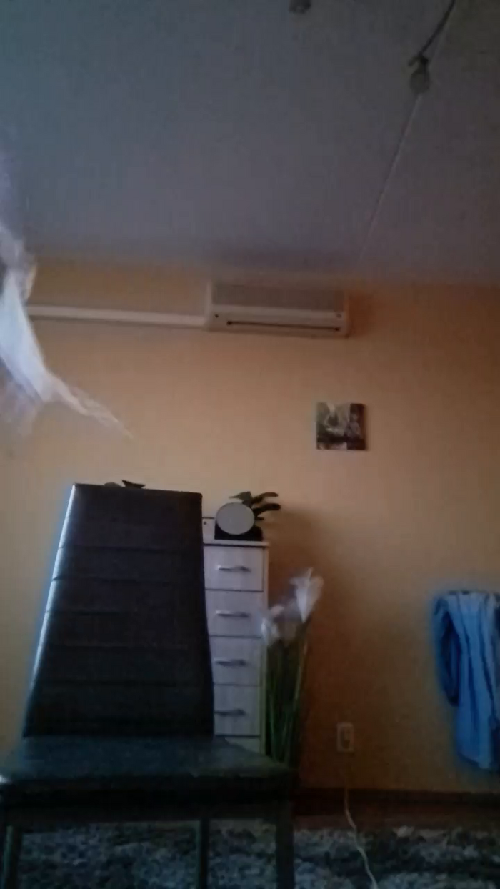 Ywett_Doll