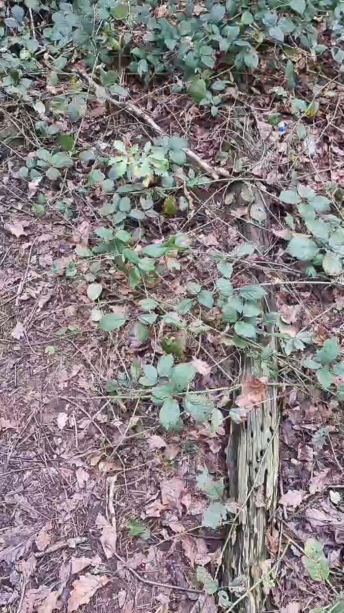 Outdoorgeil1