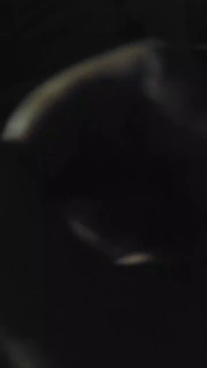 pollen_07