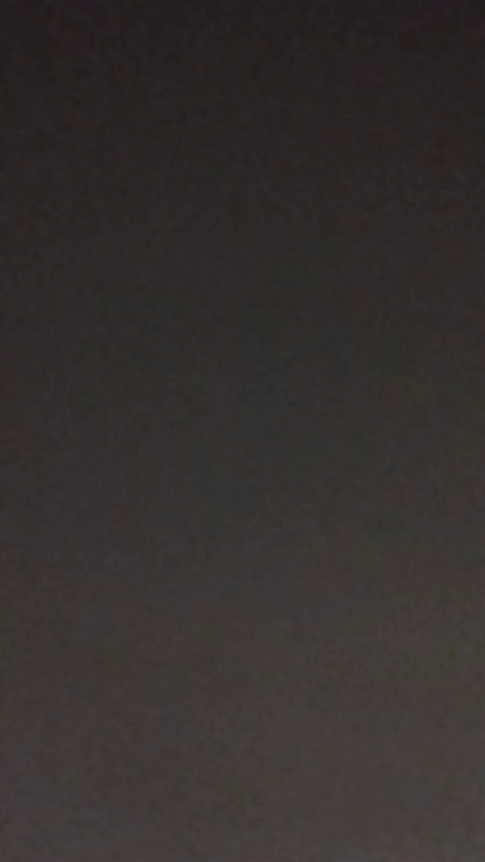 sol219
