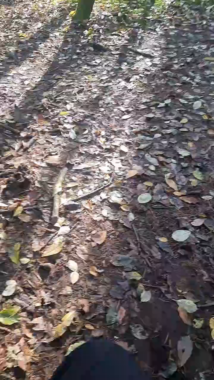 Outdoorgeil1