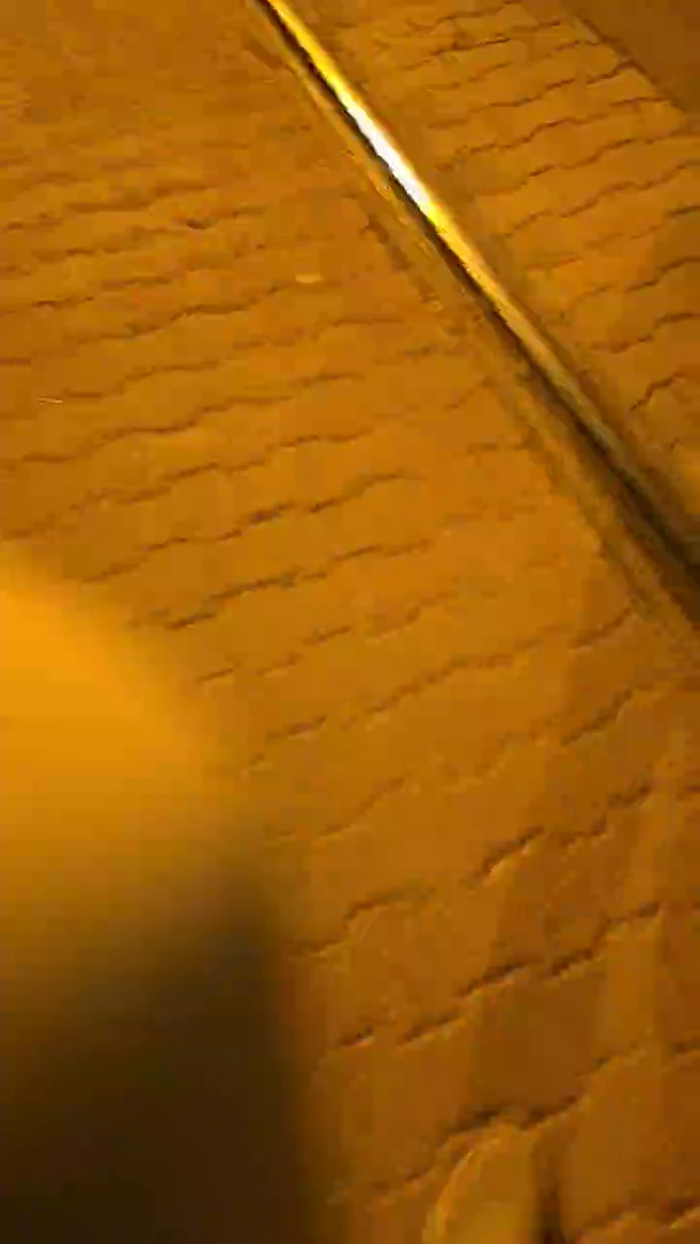 pollen_07