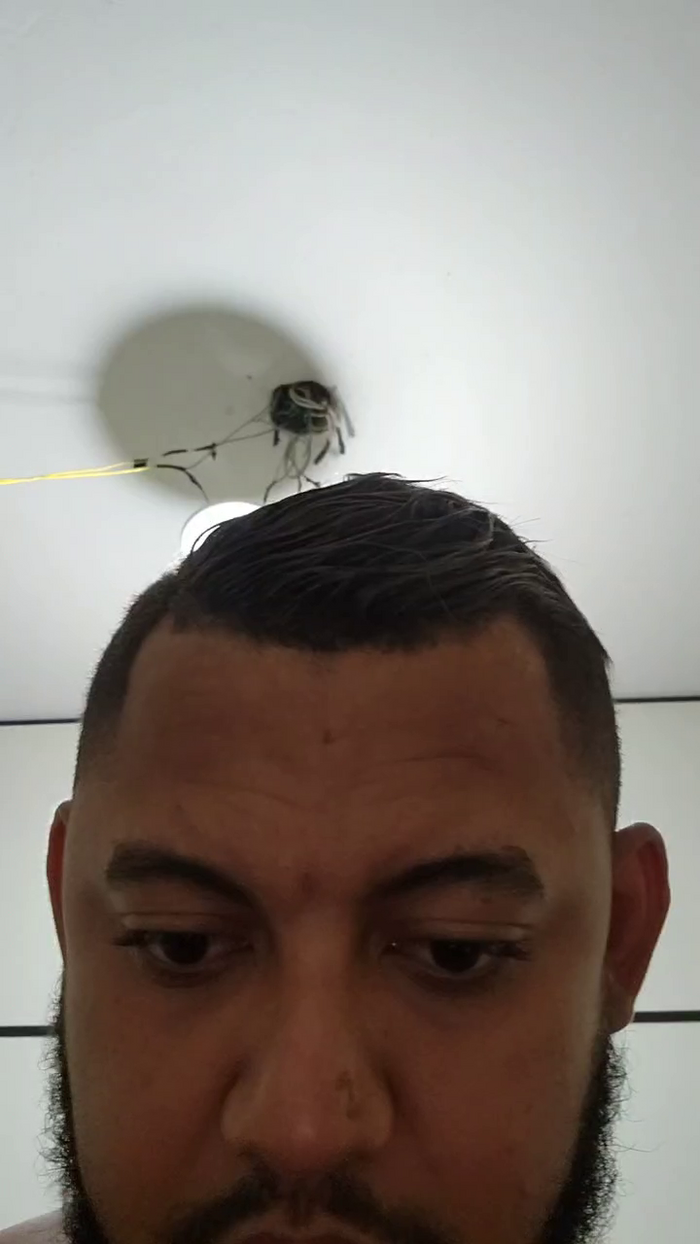 DBaianoMineiraS
