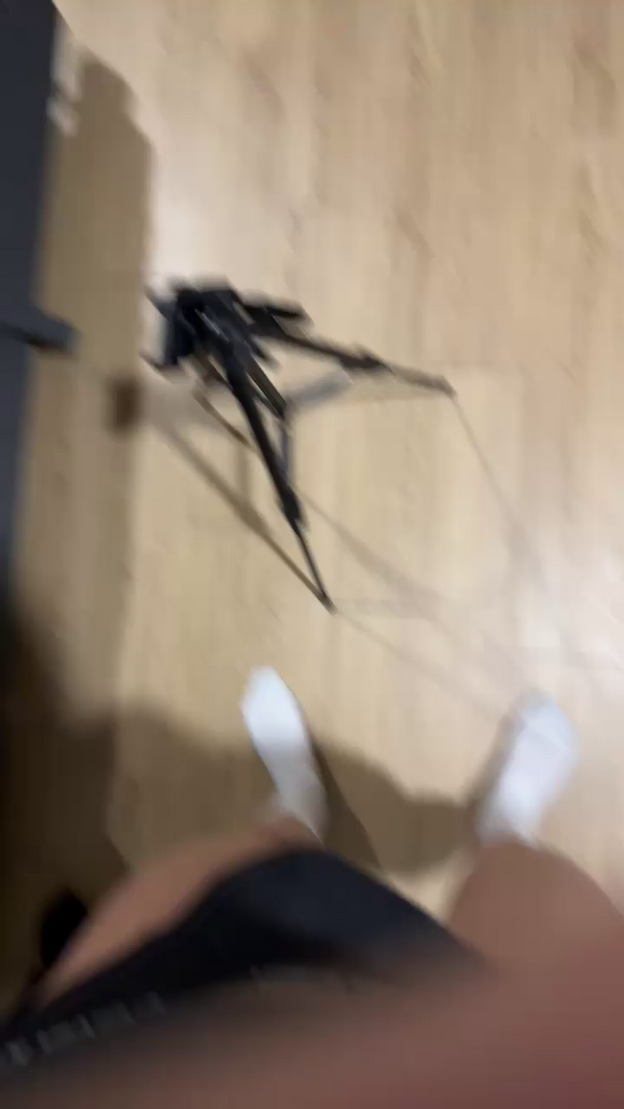 EastDevil94