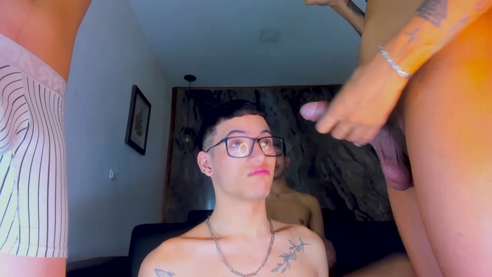 BbcockDreams