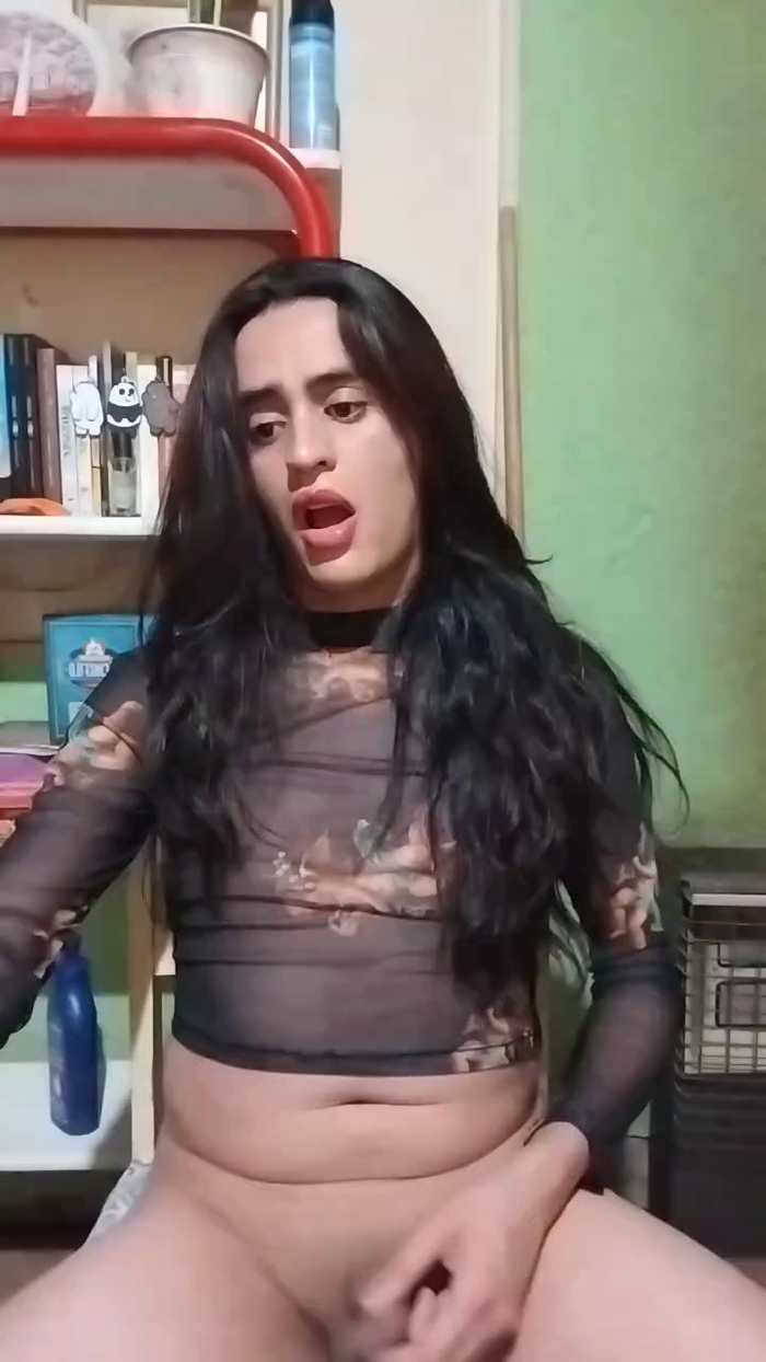sofi_la_trans