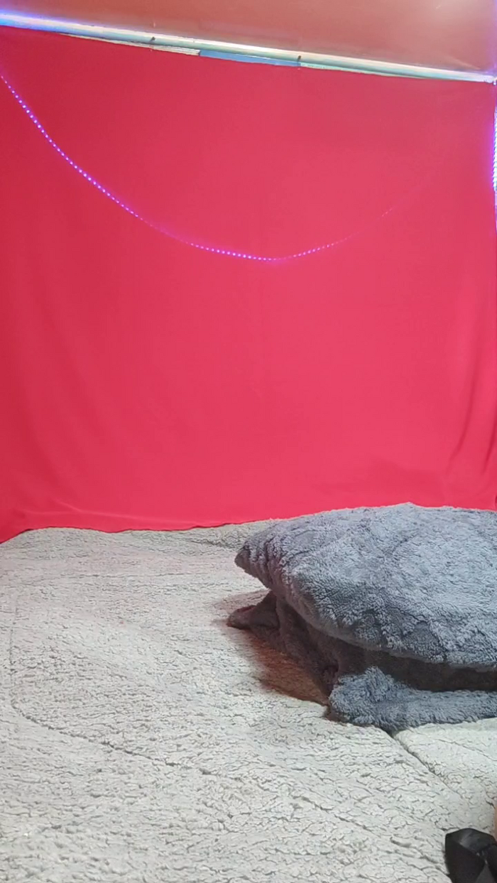 Esmeraldacasada