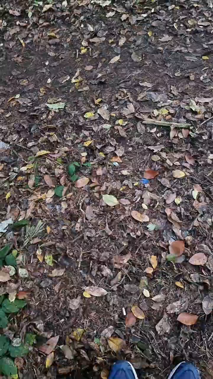 Outdoorgeil1