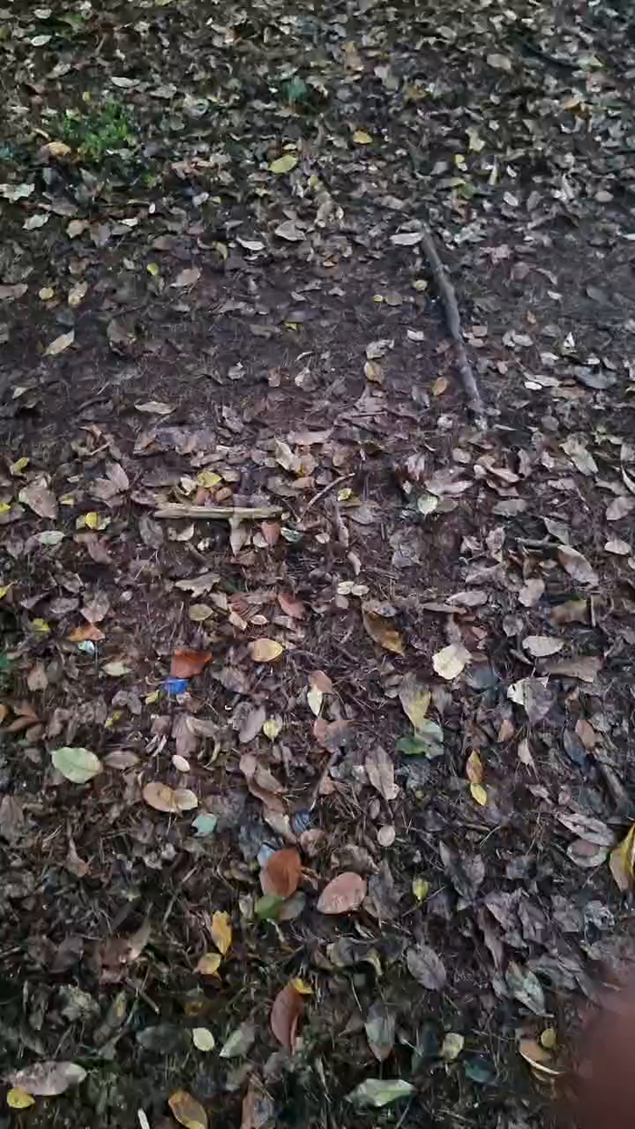 Outdoorgeil1