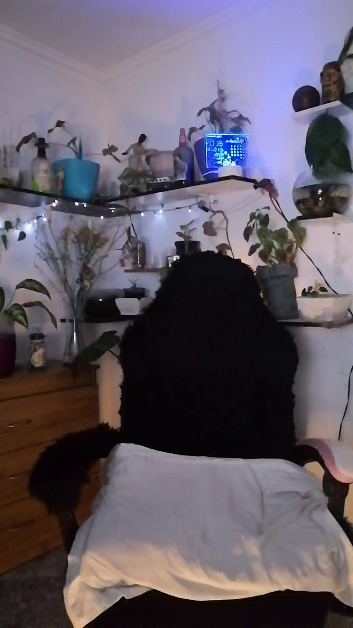 CrazyMom69