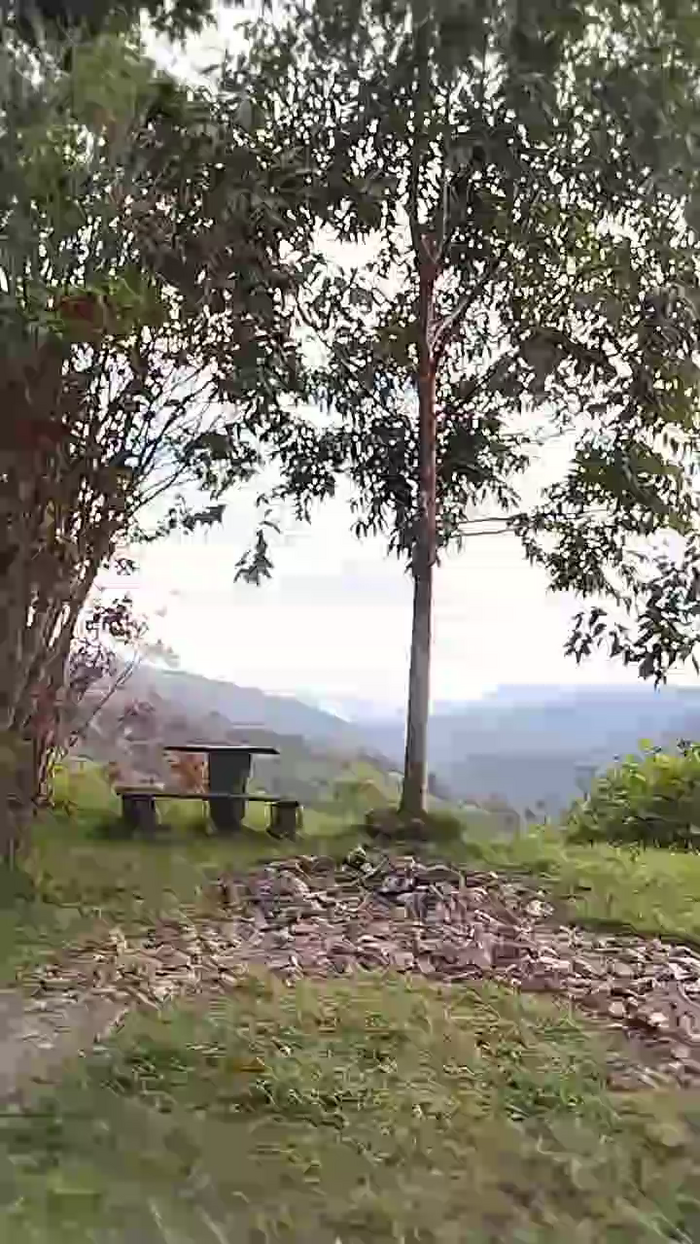 Remote_live