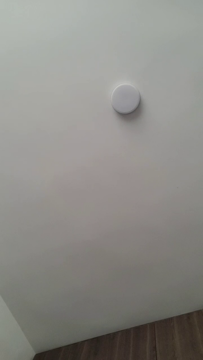 manefuego