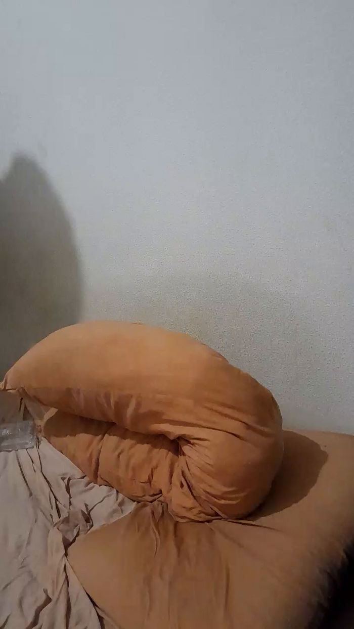 jeylem