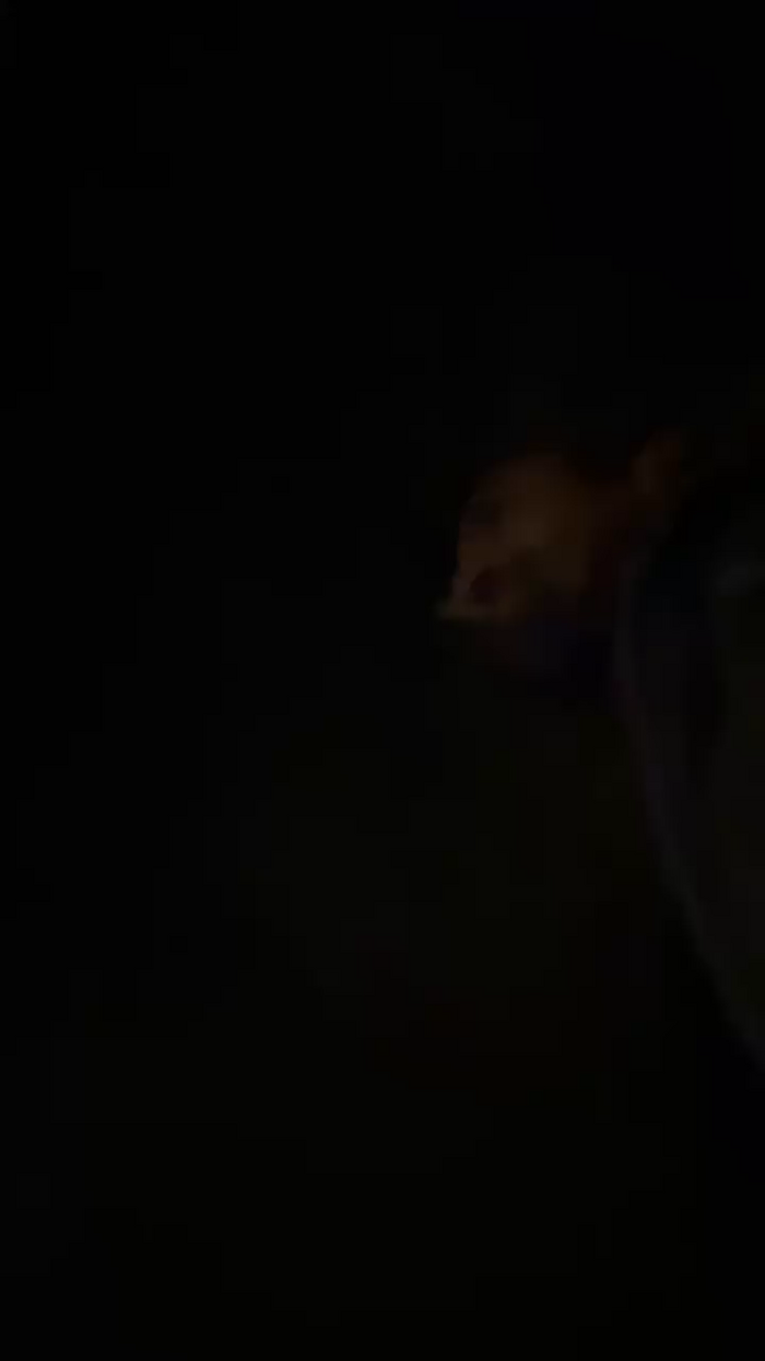 xito7