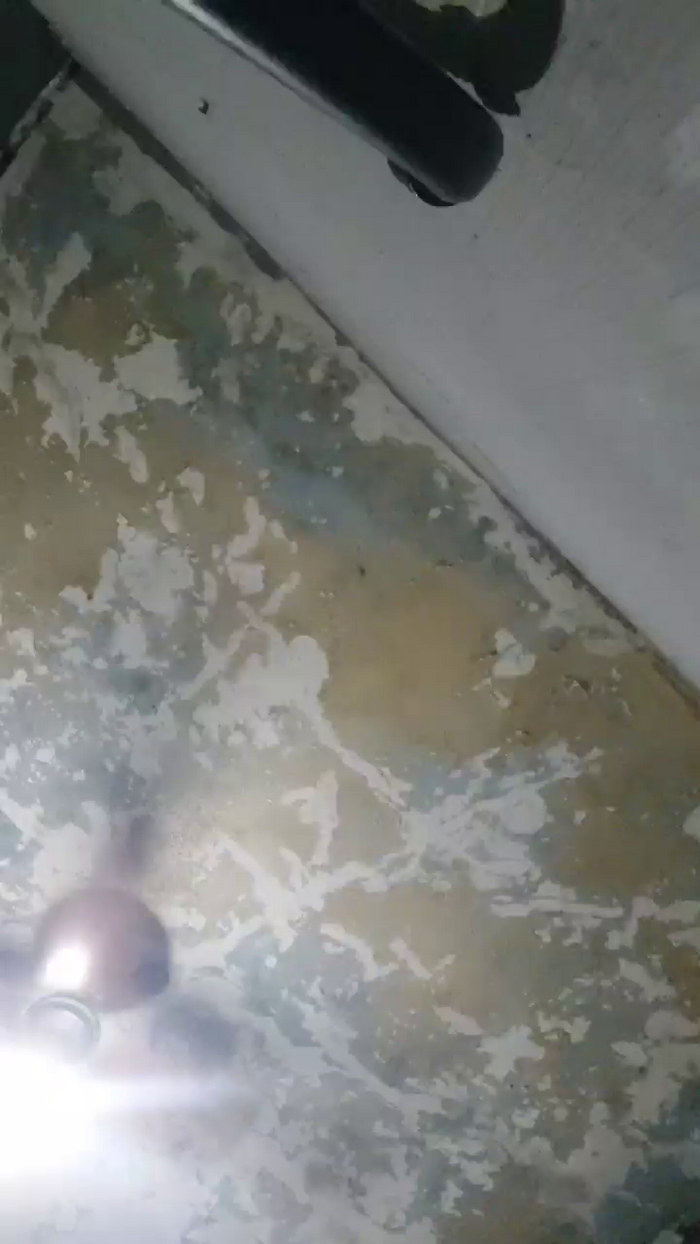 Vqgbarreto
