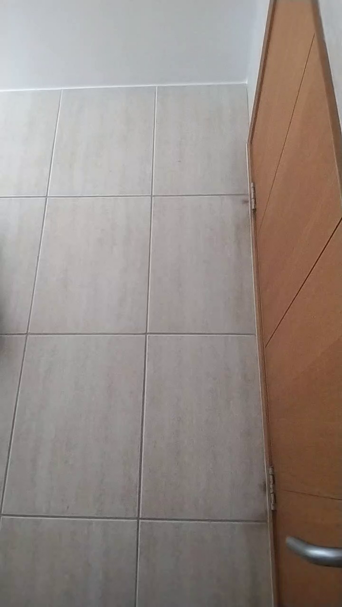 Latinaakita4