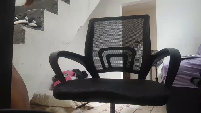 mineirodotado00