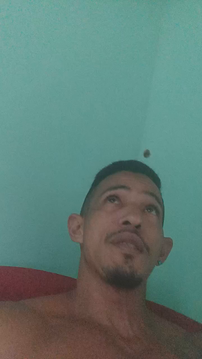 cariocasarado6