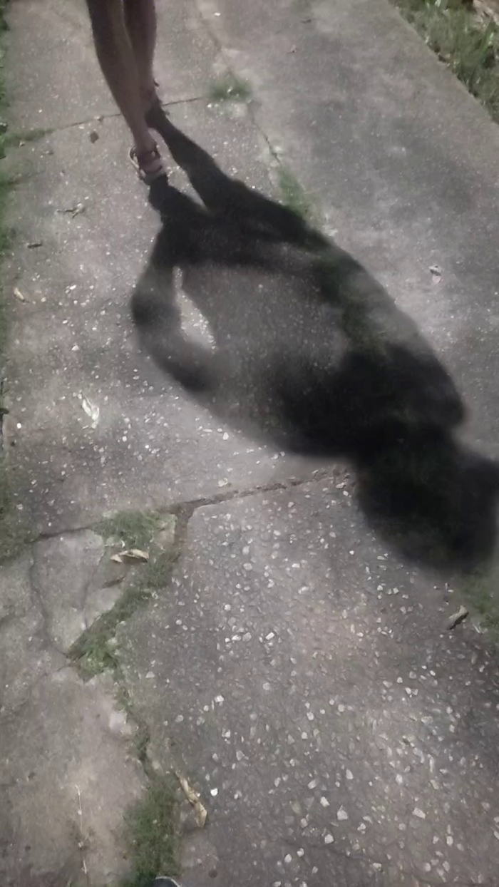 Fetichistahard