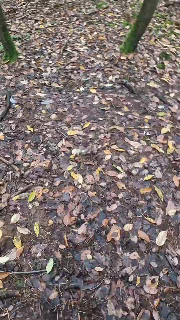 Outdoorgeil1