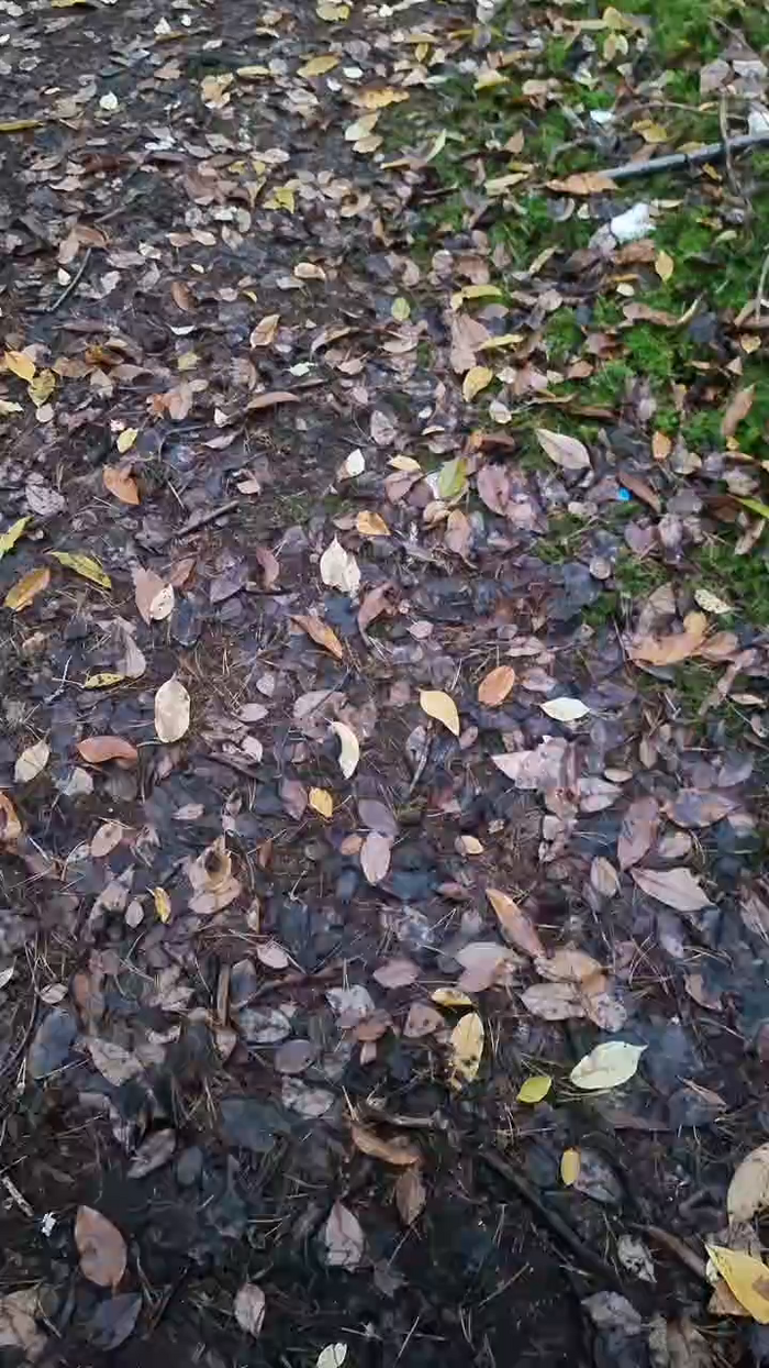 Outdoorgeil1