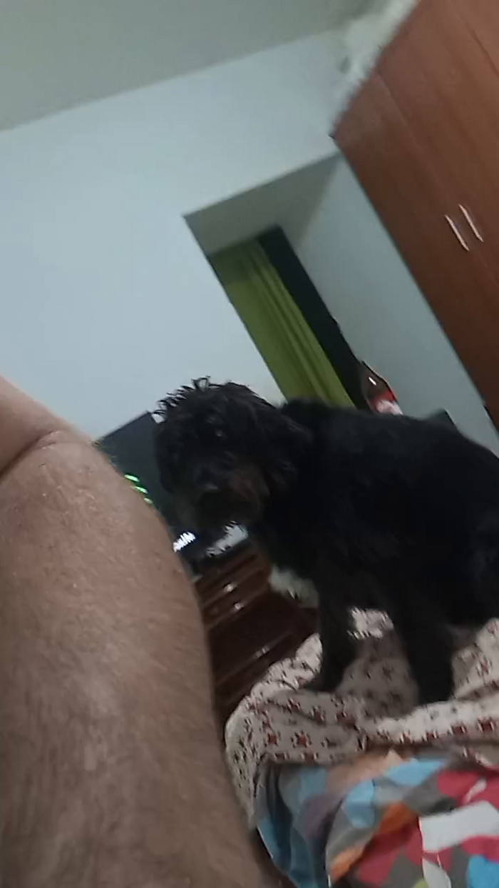 parejitamad2