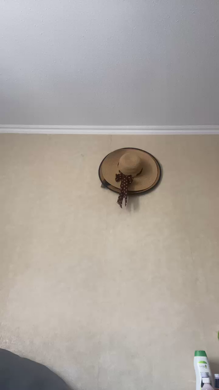 Calistoluna2