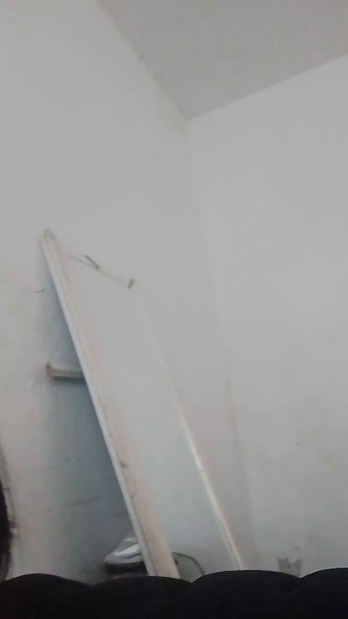 Lachispa32
