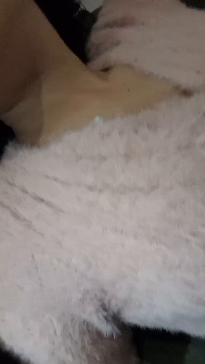 ValeLambo5