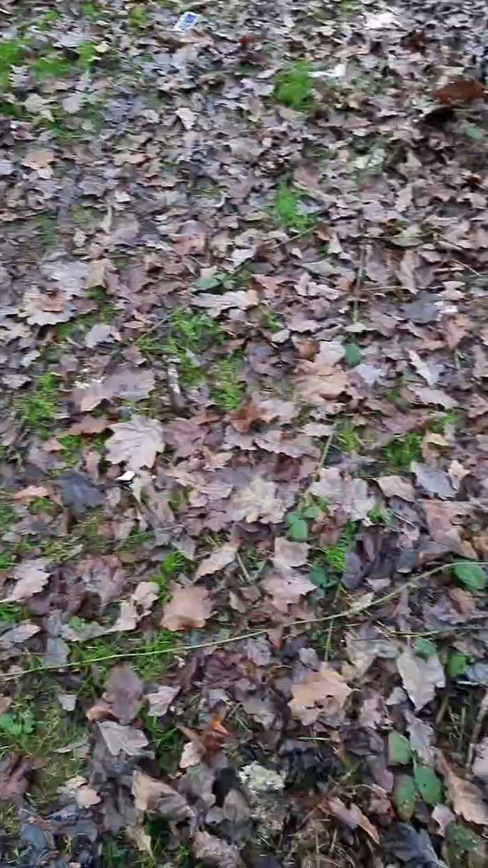 Outdoorgeil1