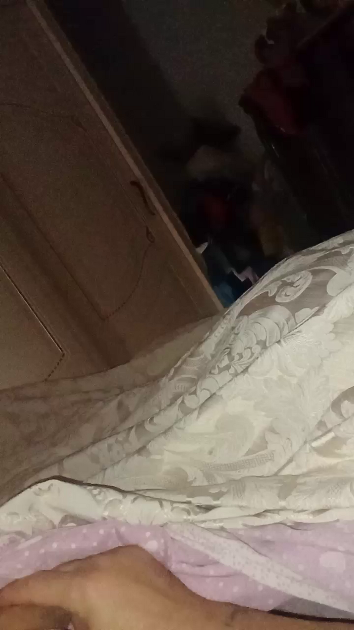 Divertiamoci86