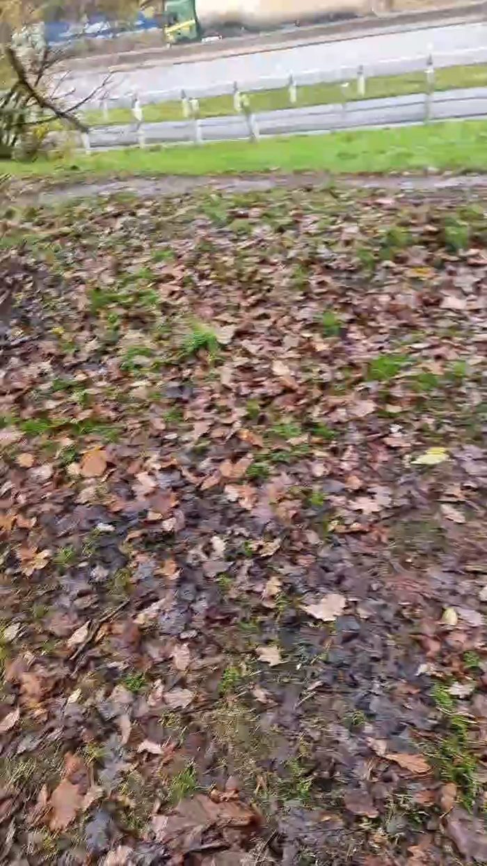 Outdoorgeil1