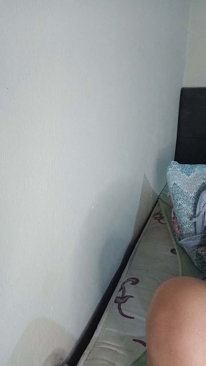 vivi298
