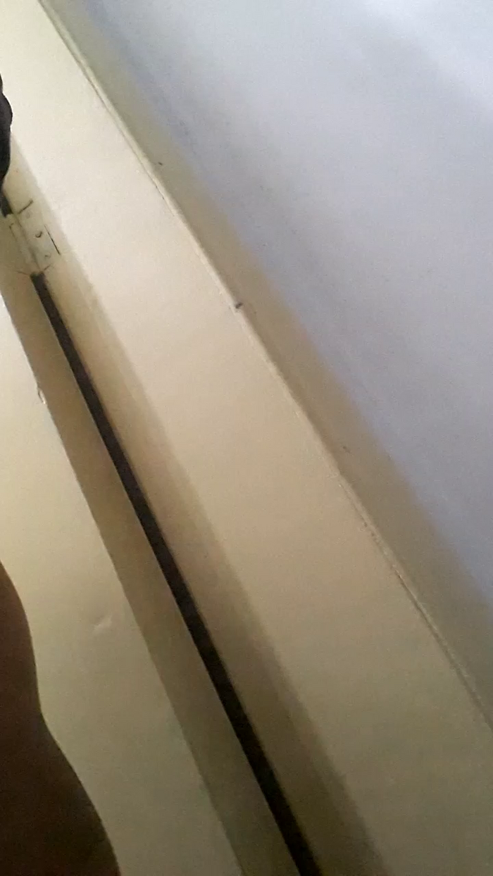 LadyCharlizie