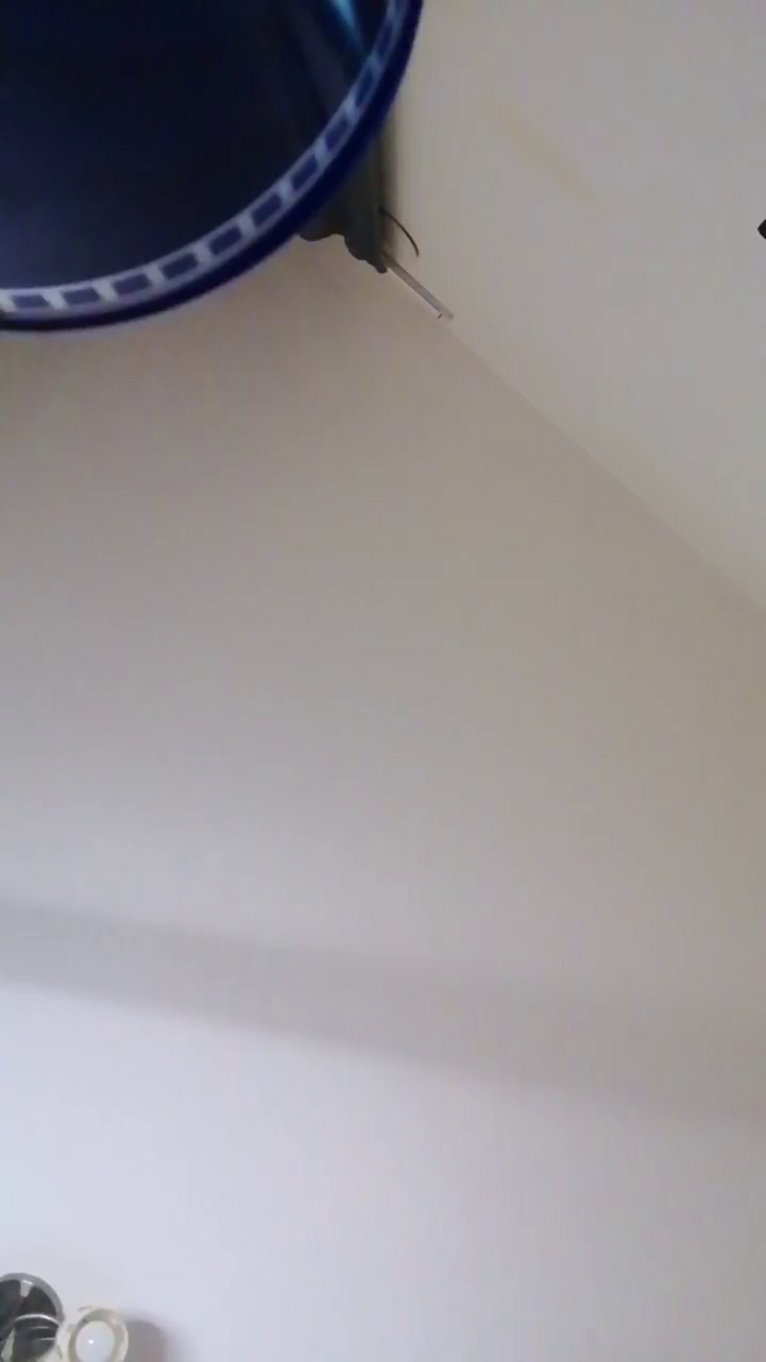 leeiamaya41