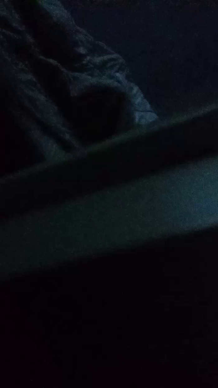 Divertiamoci86