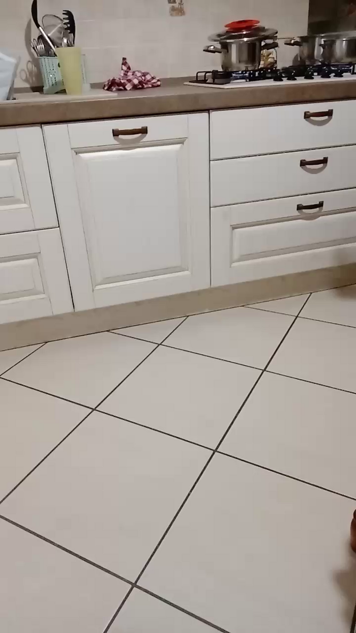 Divertiamoci86
