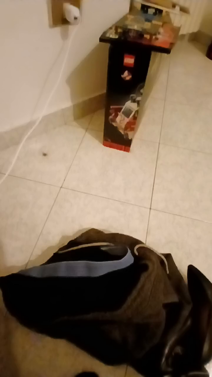 alessandravite1