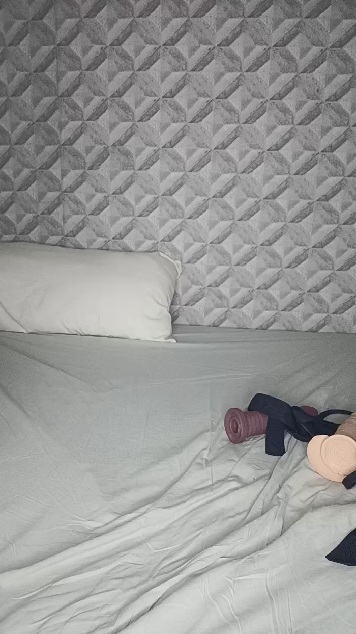 Miaproibida