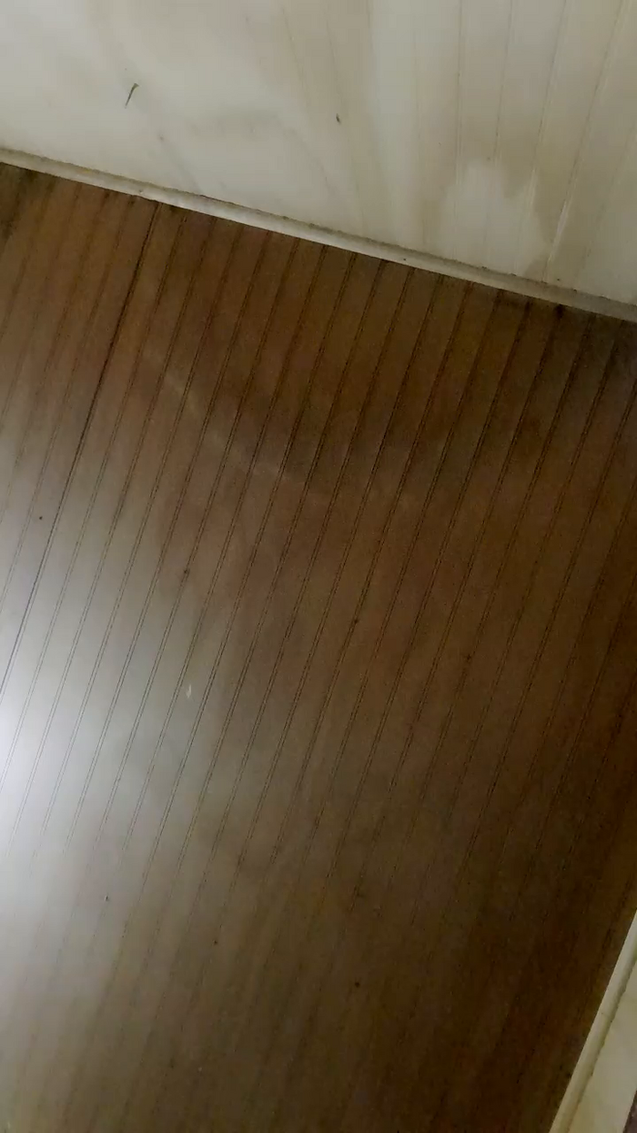 MerlotInvierno