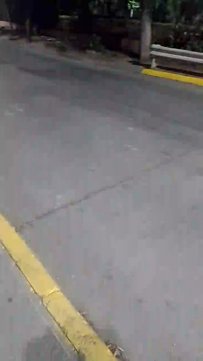 DeBombonnomas