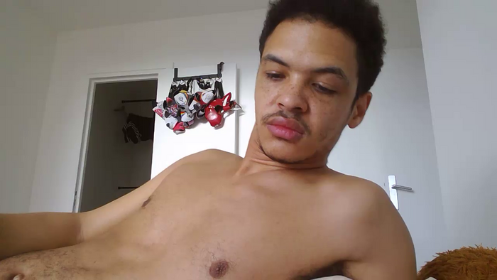 Faggydog